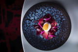 32-2-la-table-du-gourmet-fleur-de-betterave-caviar-de-brochet-glace-raifort-5-matthieu-cellard-357748
