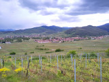 colline-s-che-1-421267