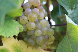 img-5344-442202