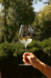 img-6985-442204