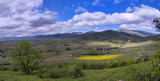 vignes-mineraux-1pano-419419