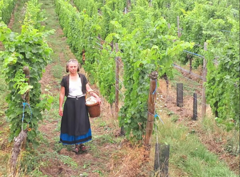 capture-428053 capture-428053