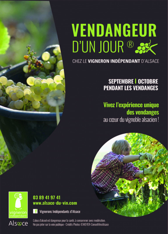 visuel-vendangeur-dun-jour-443047 visuel-vendangeur-dun-jour-443047